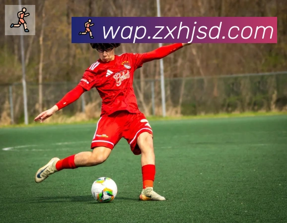 开云app在线入口荣誉