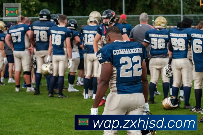 开云app在线入口荣誉