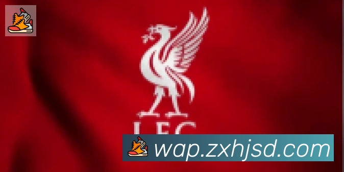 开云app在线入口合作伙伴