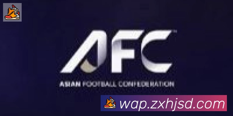 开云app在线入口合作伙伴