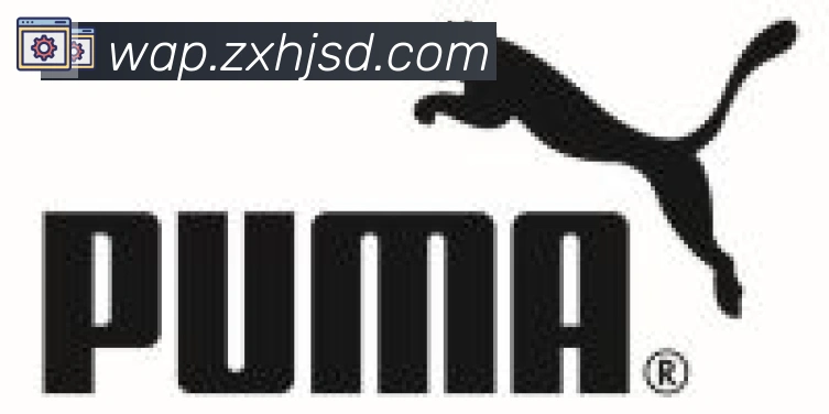 开云app在线入口合作伙伴