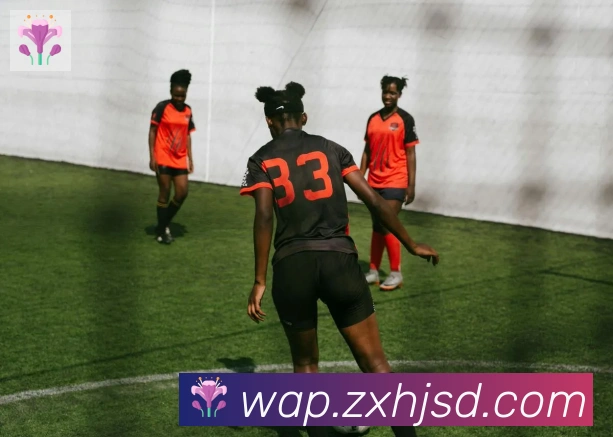 开云app在线入口全站App